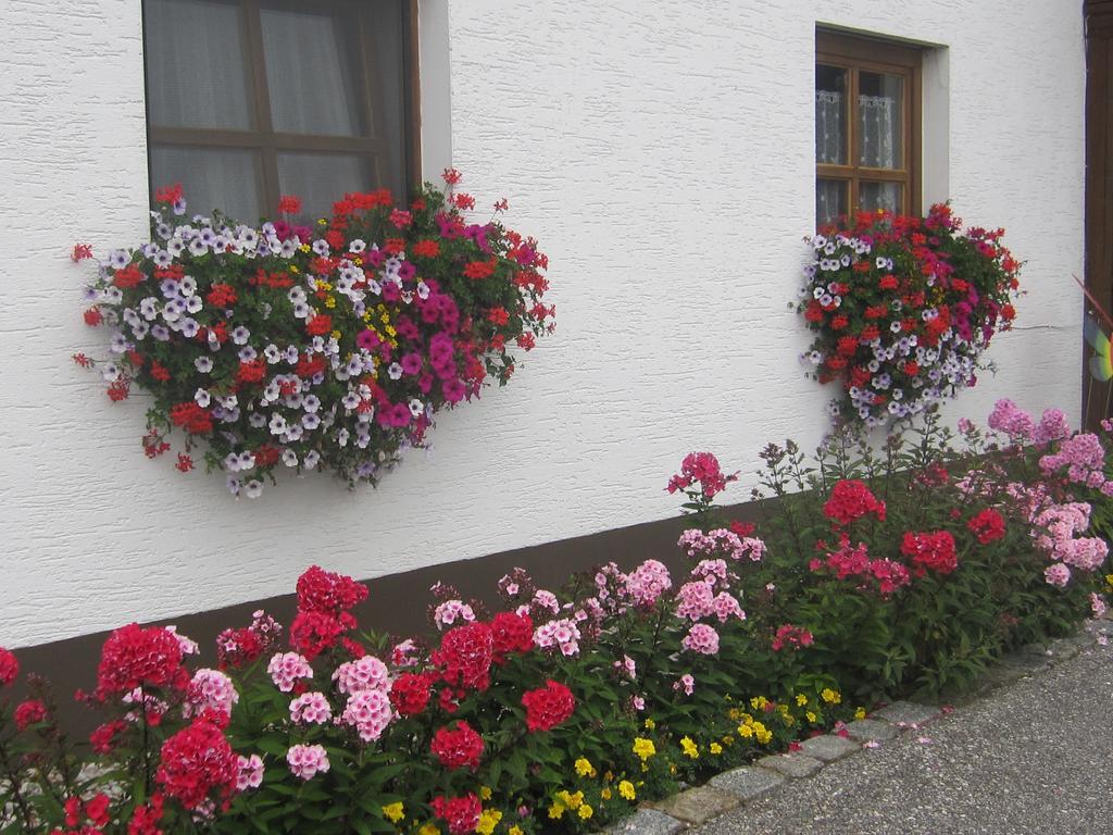Erwachsenen Aparthotel Naturidyll - Der Wieserhof Bad Fussing Luaran gambar